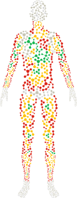 Keep track of your progress with Boditrax body composition analysis